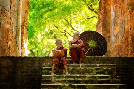 Young-Buddhist-reading