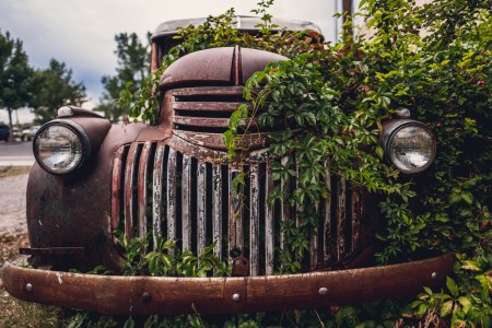 overgrown-truck